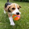 Rolling ball with Remote Control