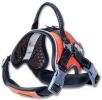 Dog Helios 'Scorpion' Sporty High-Performance Free-Range Dog Harness