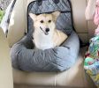 Pet Life 'Pawtrol' Dual Converting Travel Safety Car seat and Pet Bed