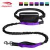 Hands Free Dog Leash with Zipper Pouch; Dual Padded Handles and Durable Bungee for Walking; Jogging and Running Your Dog